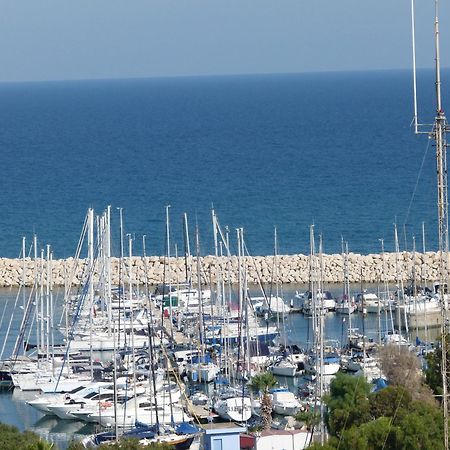 Aphrodite Heights Larnaca Eksteriør billede
